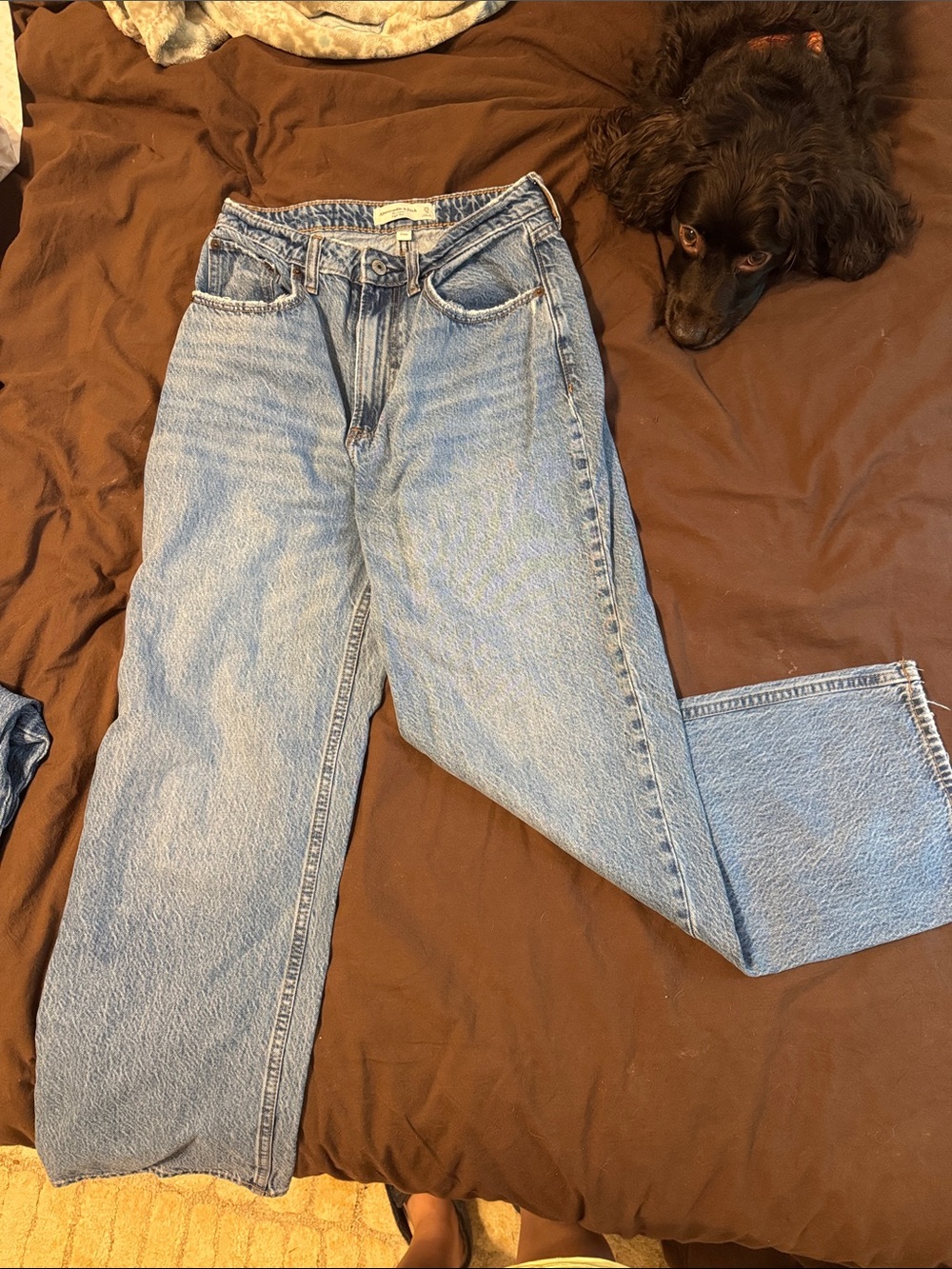 Abercrombie & Fitch Loose High-Rise Jean - size 25/0 Curve Love